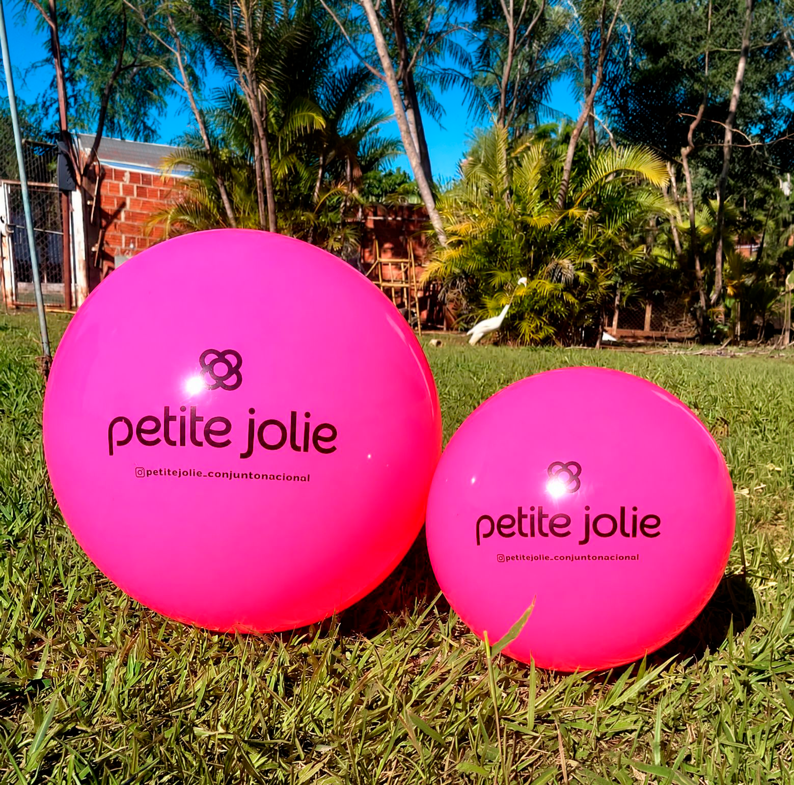 Bola de vinil personalizada MentesToy — modelo 3